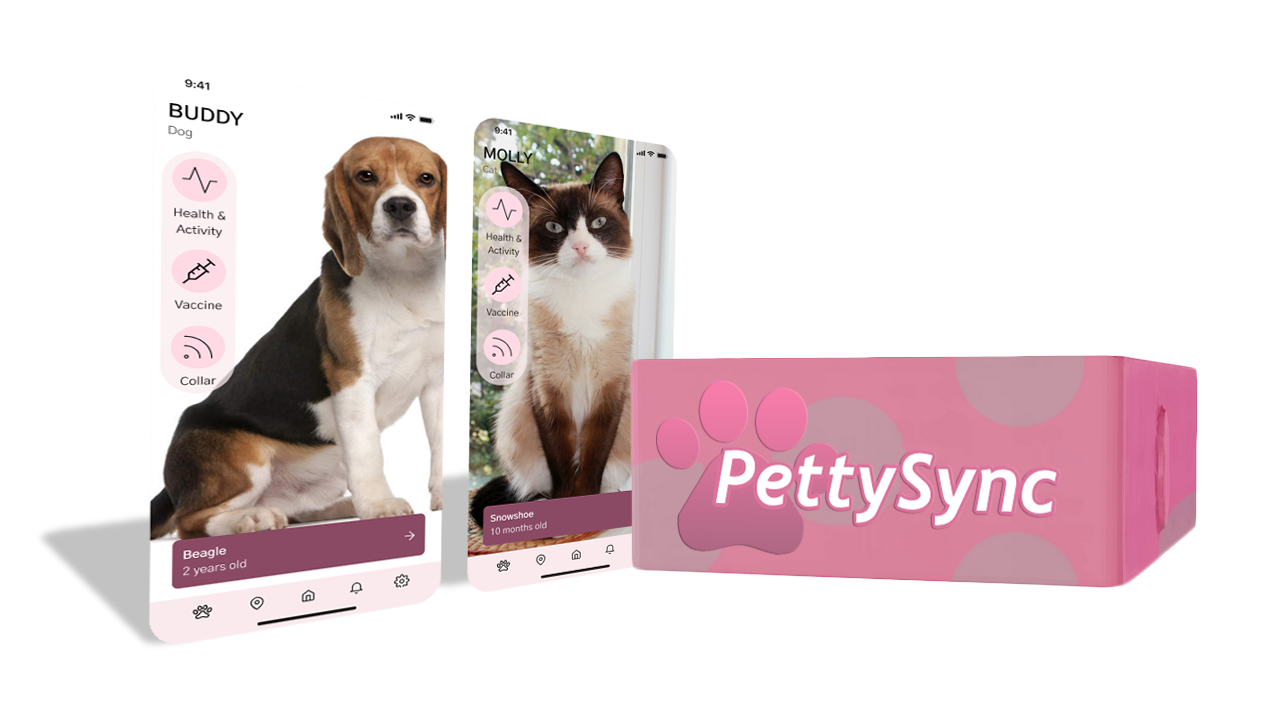 pettysync image